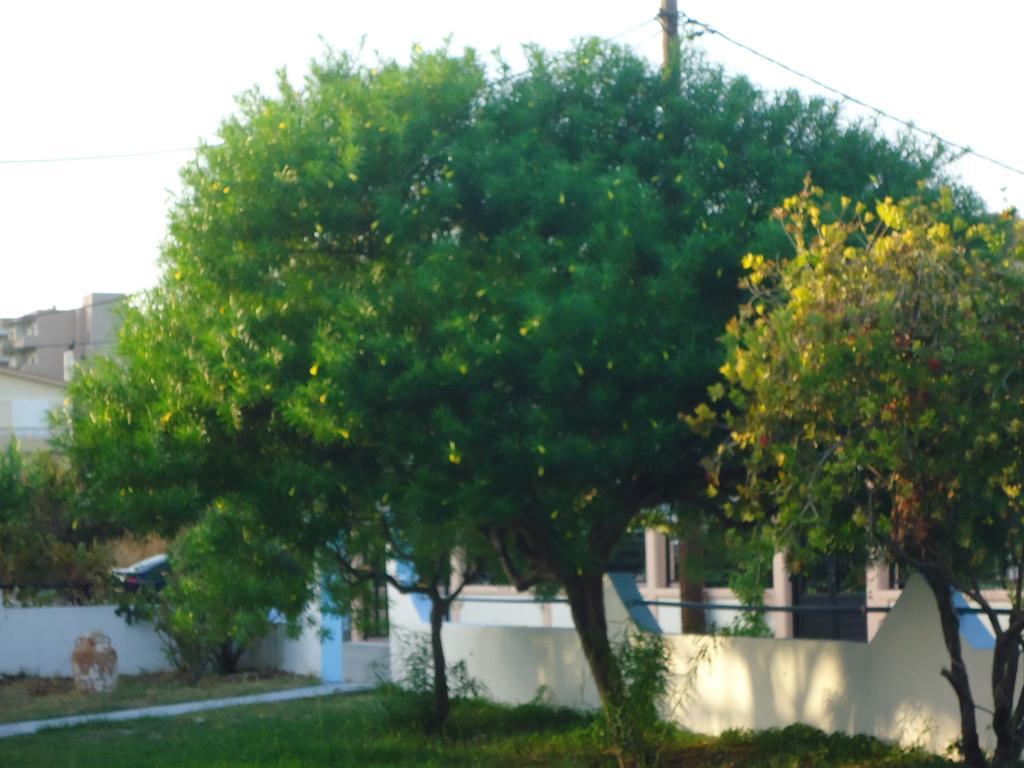 Aparthotel Eleni's *